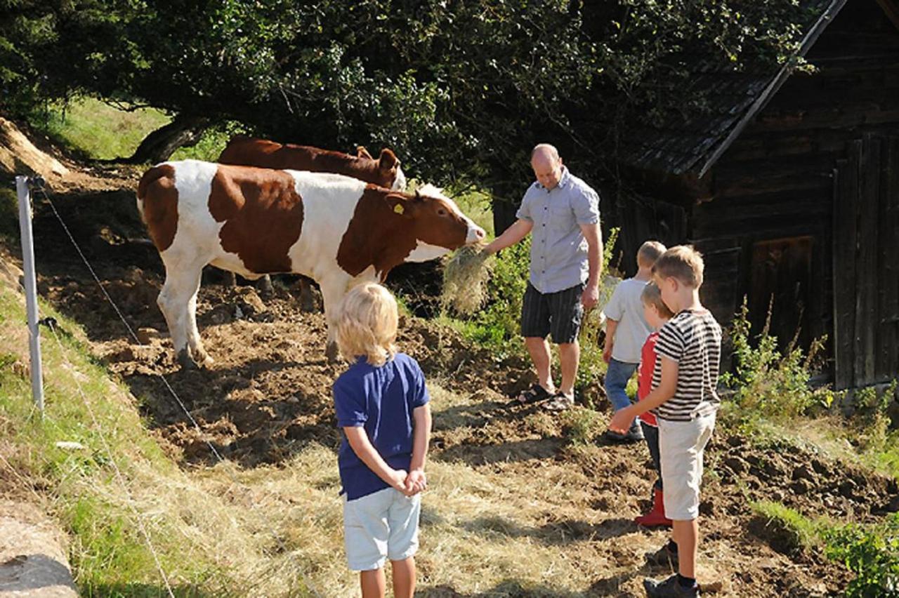 Exenbacher Hof - Pension Arnbruck Kültér fotó