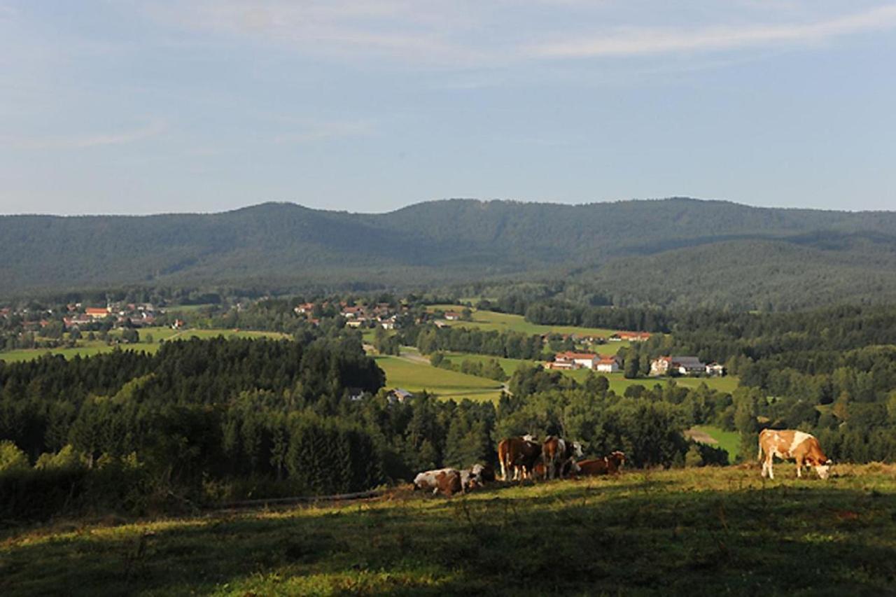 Exenbacher Hof - Pension Arnbruck Kültér fotó