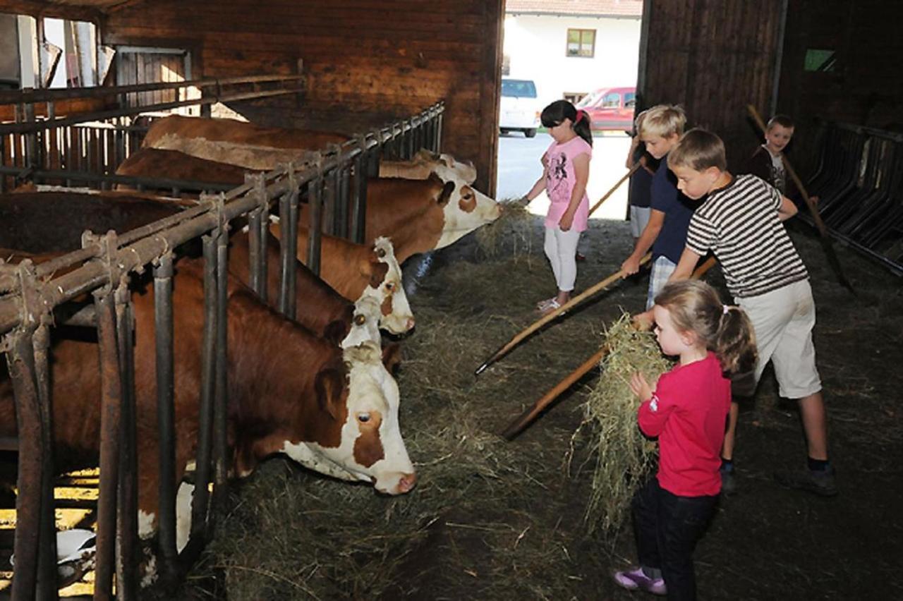 Exenbacher Hof - Pension Arnbruck Kültér fotó