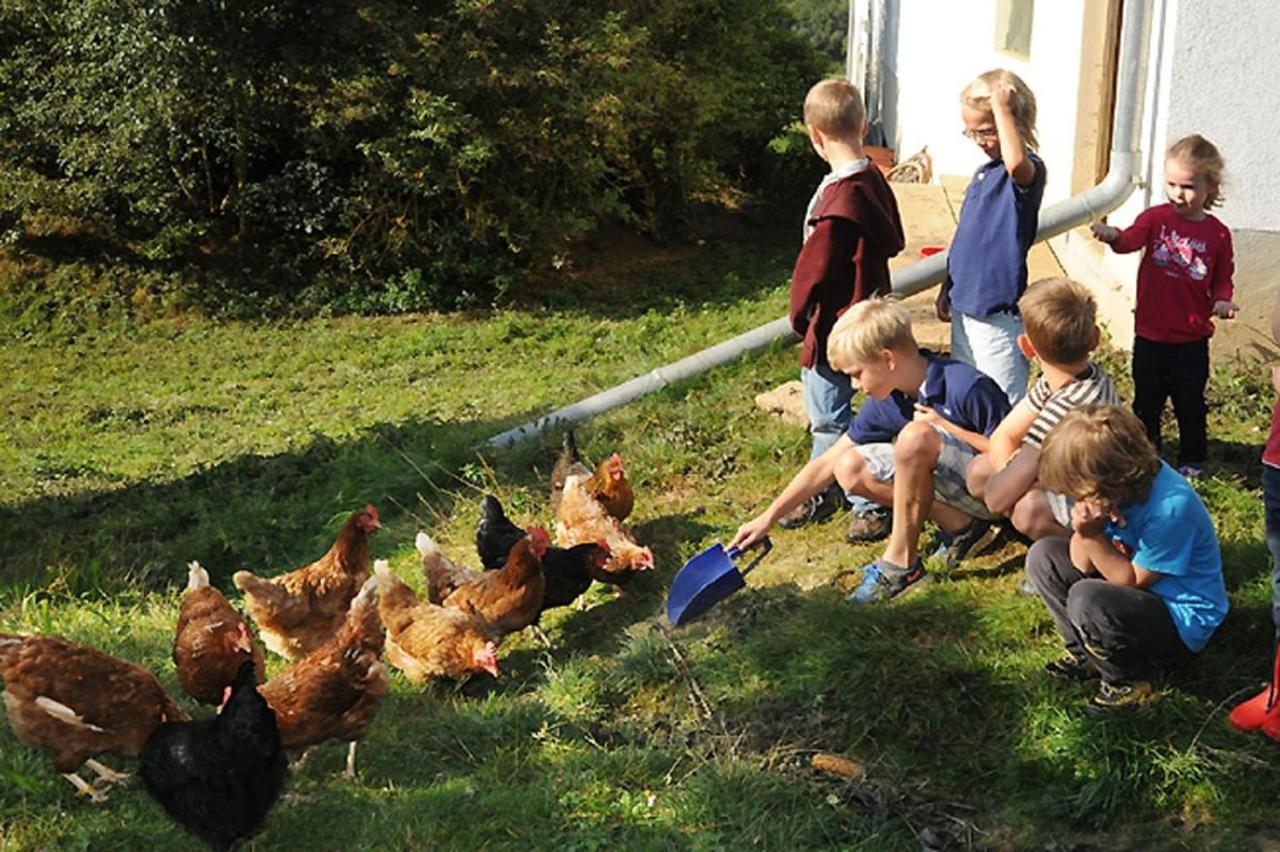 Exenbacher Hof - Pension Arnbruck Kültér fotó
