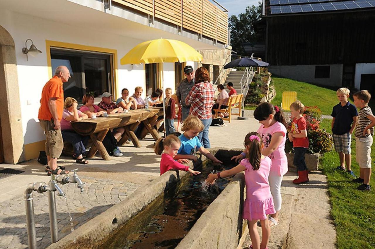Exenbacher Hof - Pension Arnbruck Kültér fotó